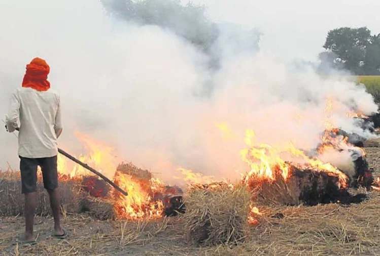 यूपी में पराली जलाने वालों की खैर नहीं...बीस नवम्बर तक अफसरों से मांगी रिपोर्ट